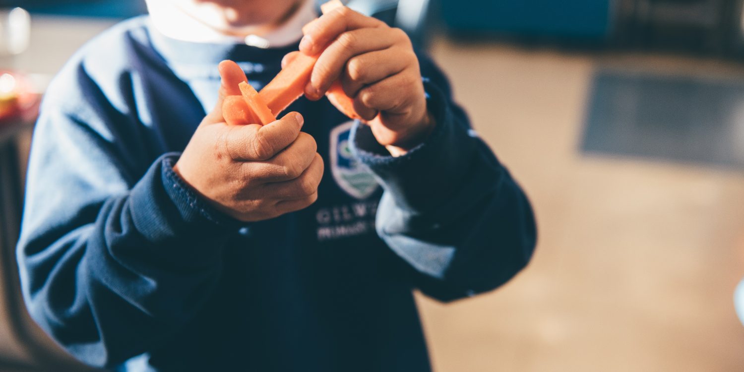 Children across Wales should have more Welsh vegetables on their school dinner plates, urges Future Generations Commissioner in the week after he publishes his Future Generations Report